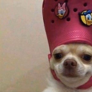 Meet your Posher, Ricky